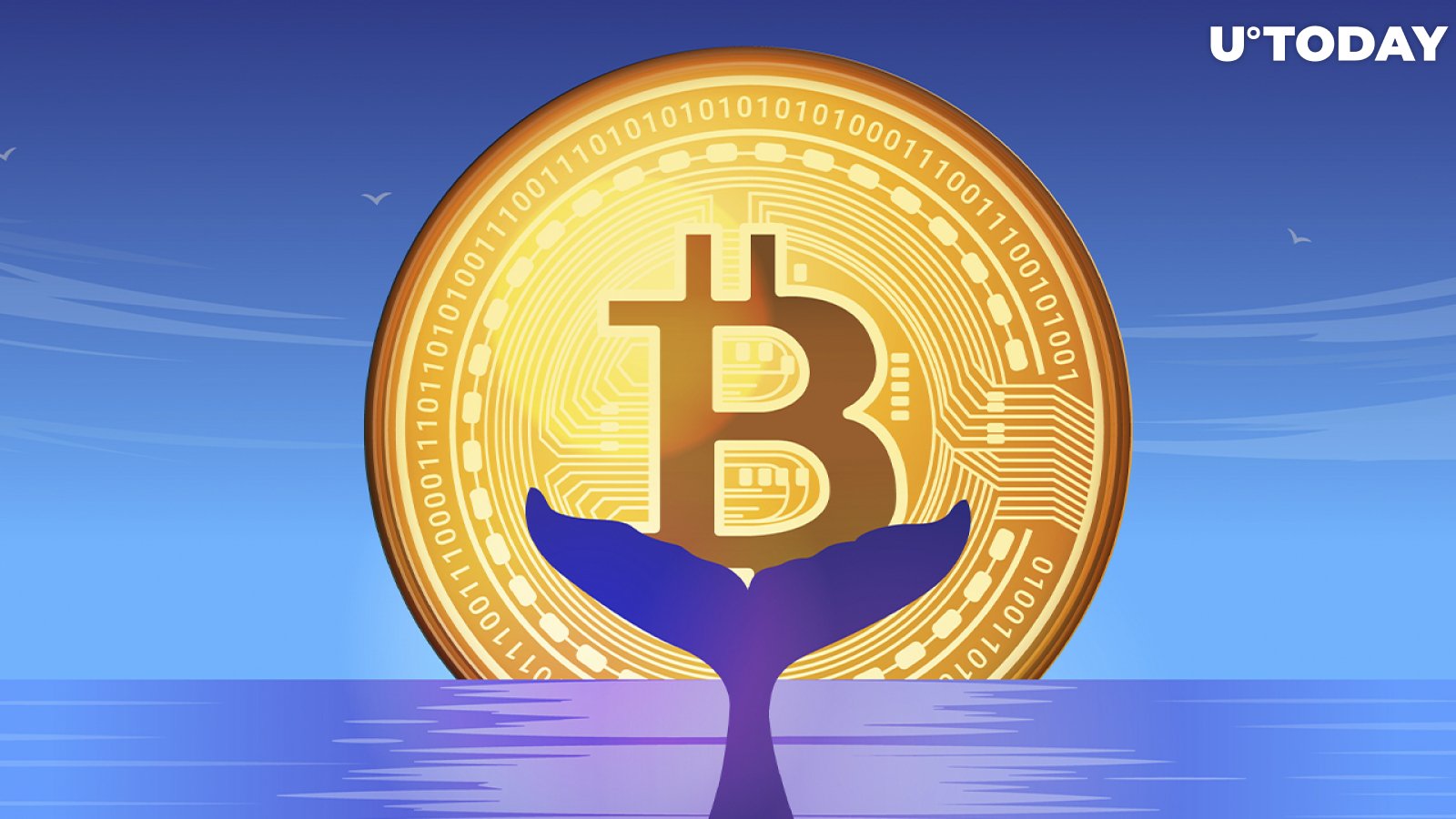 4,118 BTC Bought Since November by Mega Whale Who Holds 123,000 Bitcoins