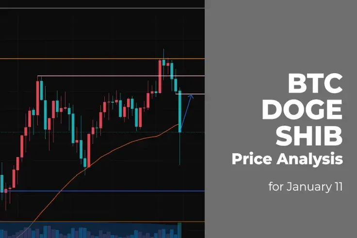 BTC, DOGE and SHIB Price Analysis for January 11