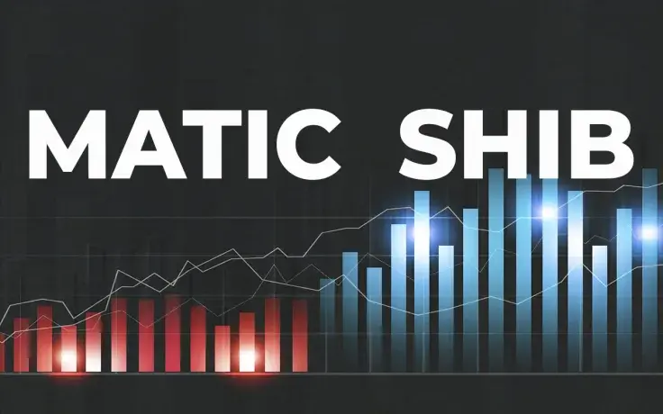 MATIC Flips Shiba Inu in Market Capitalization After 16% Rebound