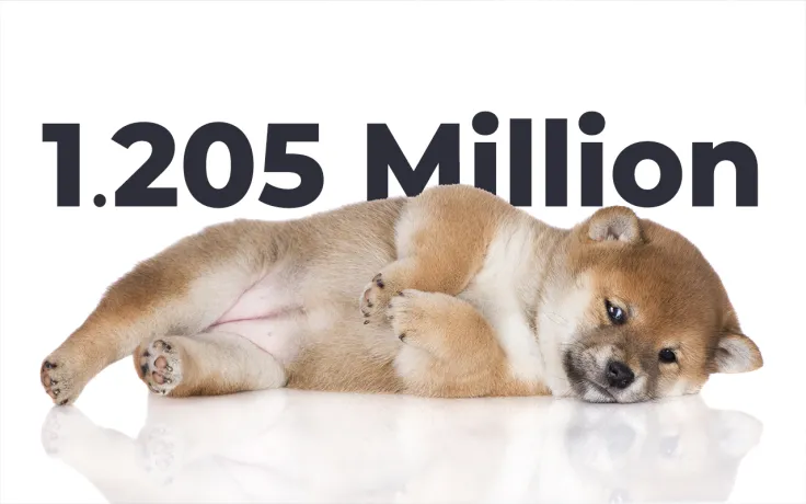 BabyDoge Holders Now Total Whopping 1.205 Million