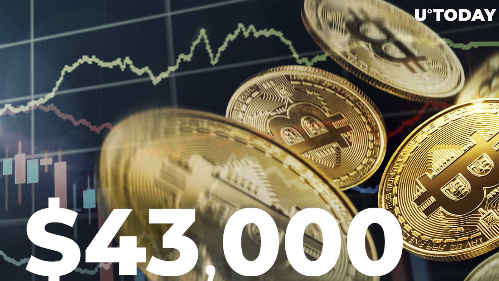 Bitcoin Soars Above $44,000 as Market Sentiment Recovers