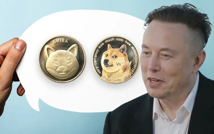 Elon Musk’s New Tweet Leaves SHIB and Doge Holders Puzzled
