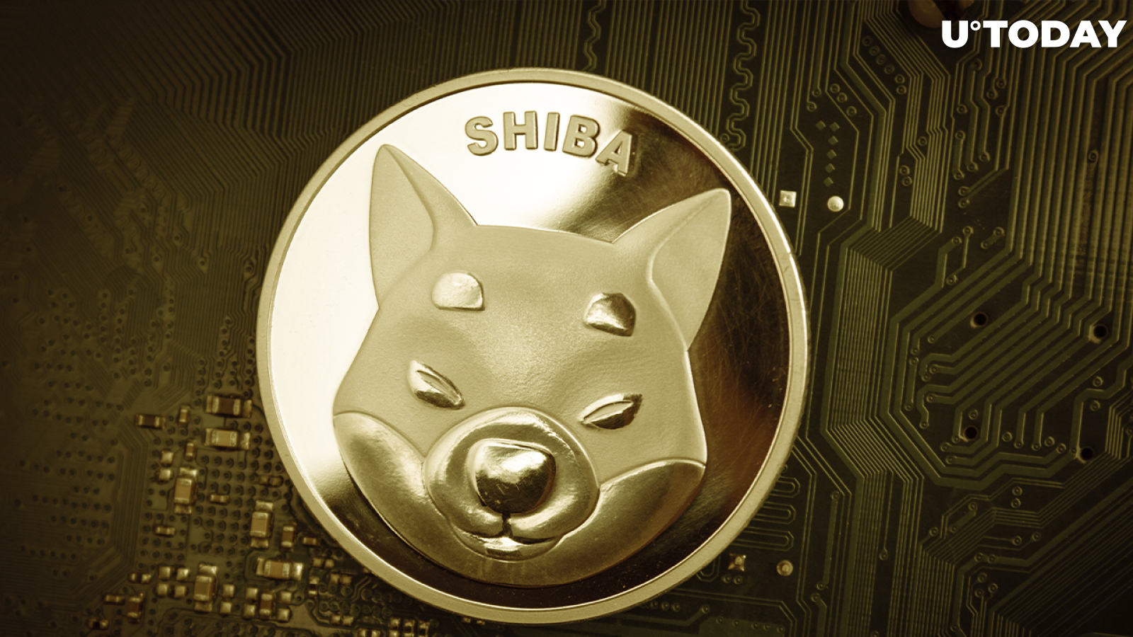 Shiba Inu Becomes One of Most-Purchased Tokens by Ethereum Whales, as On-Chain Data Reports