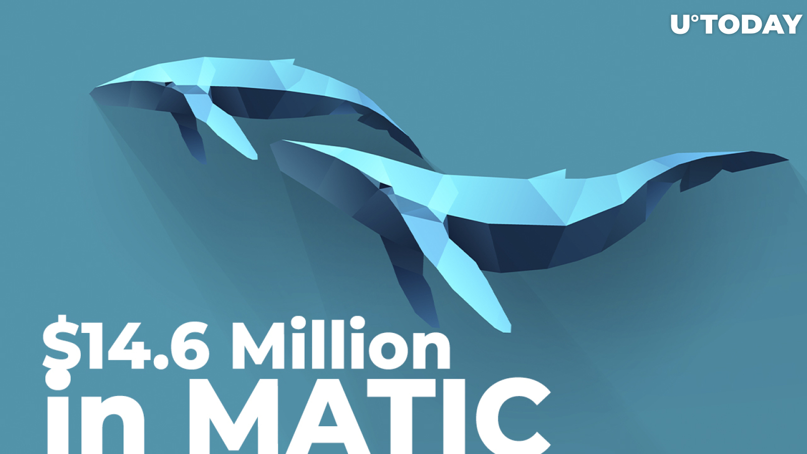 $14.6 Million in MATIC Bought by Major ETH Whales, Moved Away from Binance