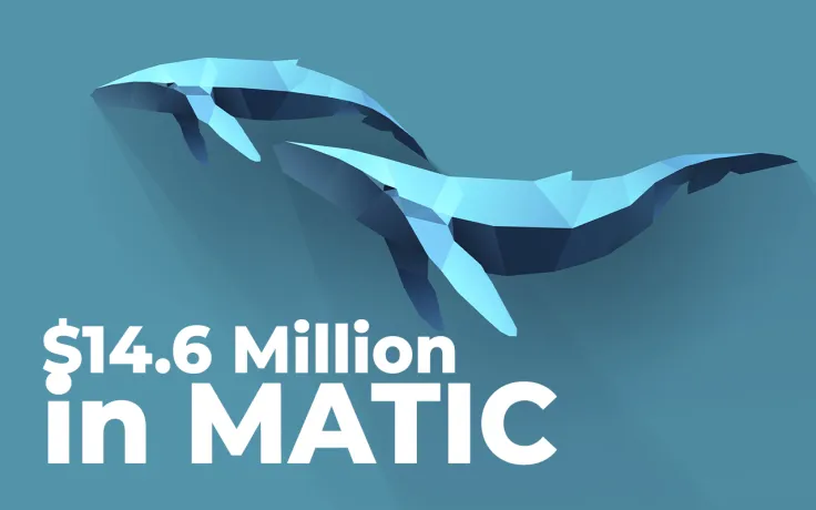 $14.6 Million in MATIC Bought by Major ETH Whales, Moved Away from Binance