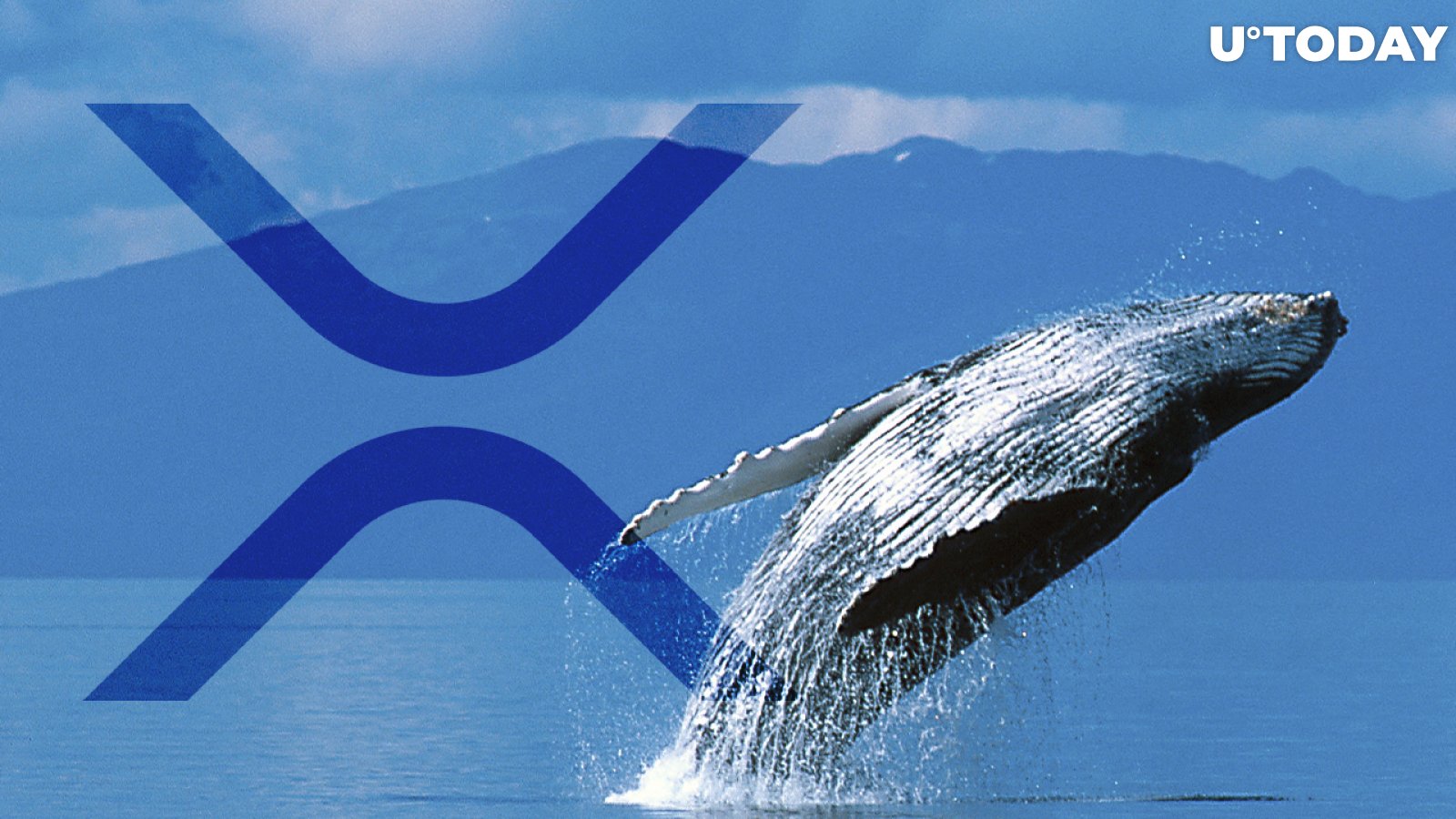 $40 Million Worth of XRP Withdrawn by This Whale from Binance, Here Are Potential Reasons