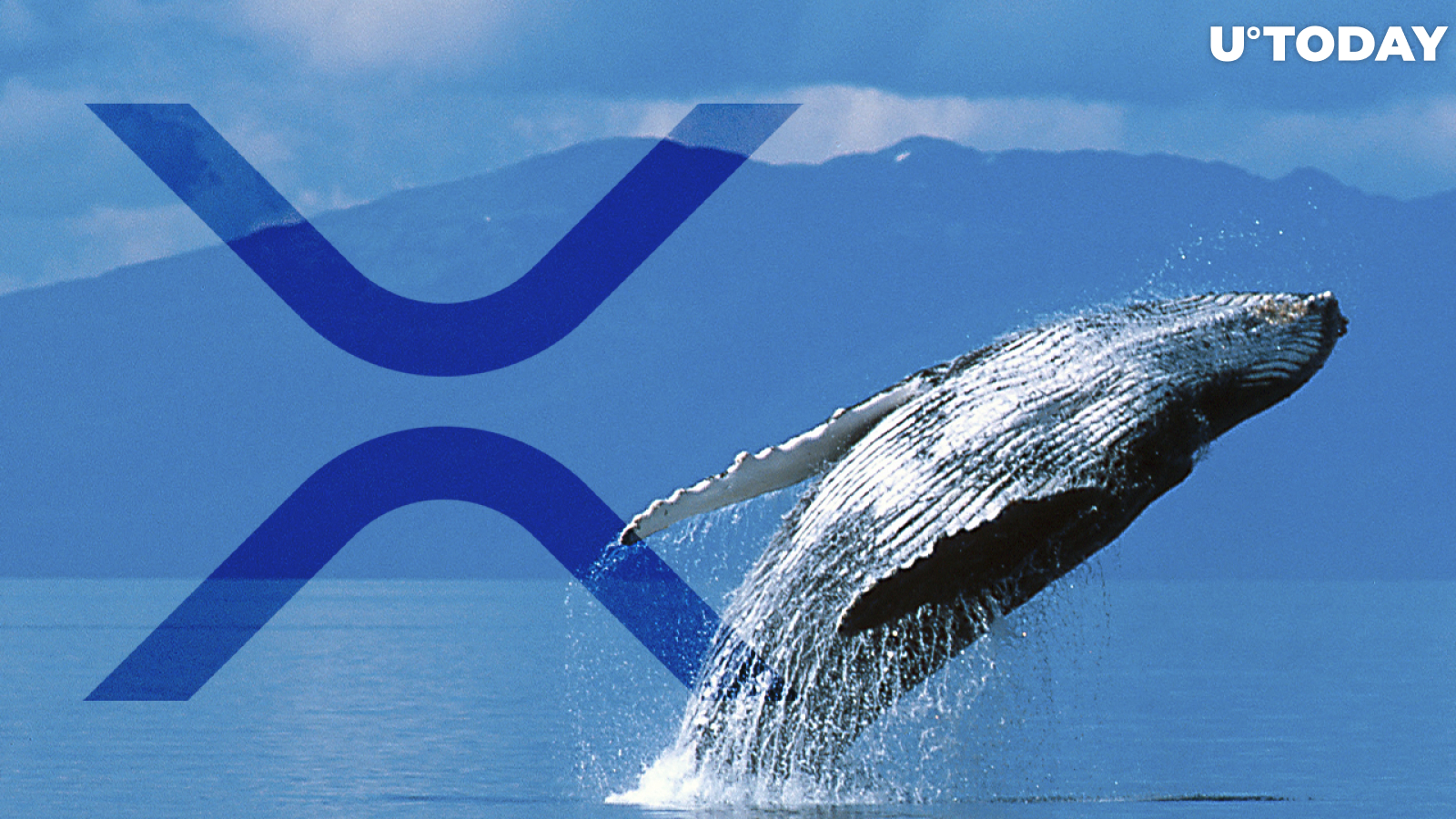 $40 Million Worth of XRP Withdrawn by This Whale from Binance, Here Are Potential Reasons