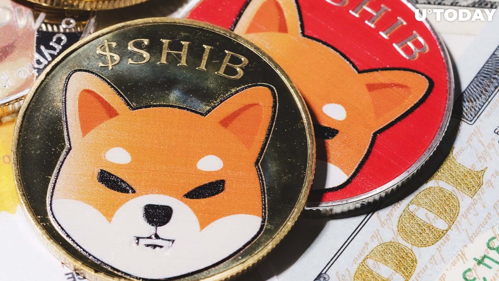 383.5 Million SHIB Burned in Past 3 Days, While Coin Is in Decline