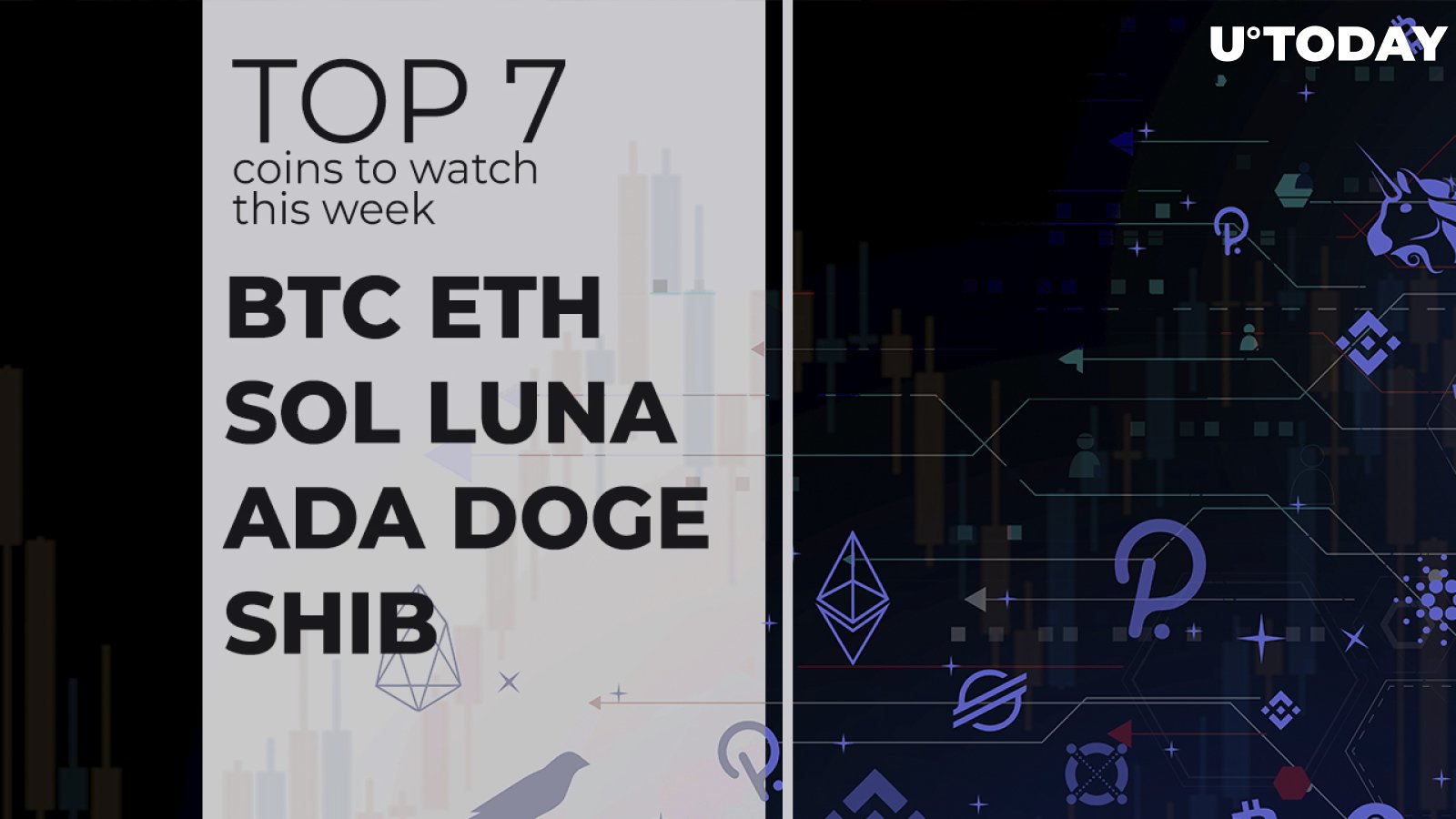 Top 7 Coins to Watch This Week: BTC, ETH, SOL, LUNA, ADA, DOGE and SHIB