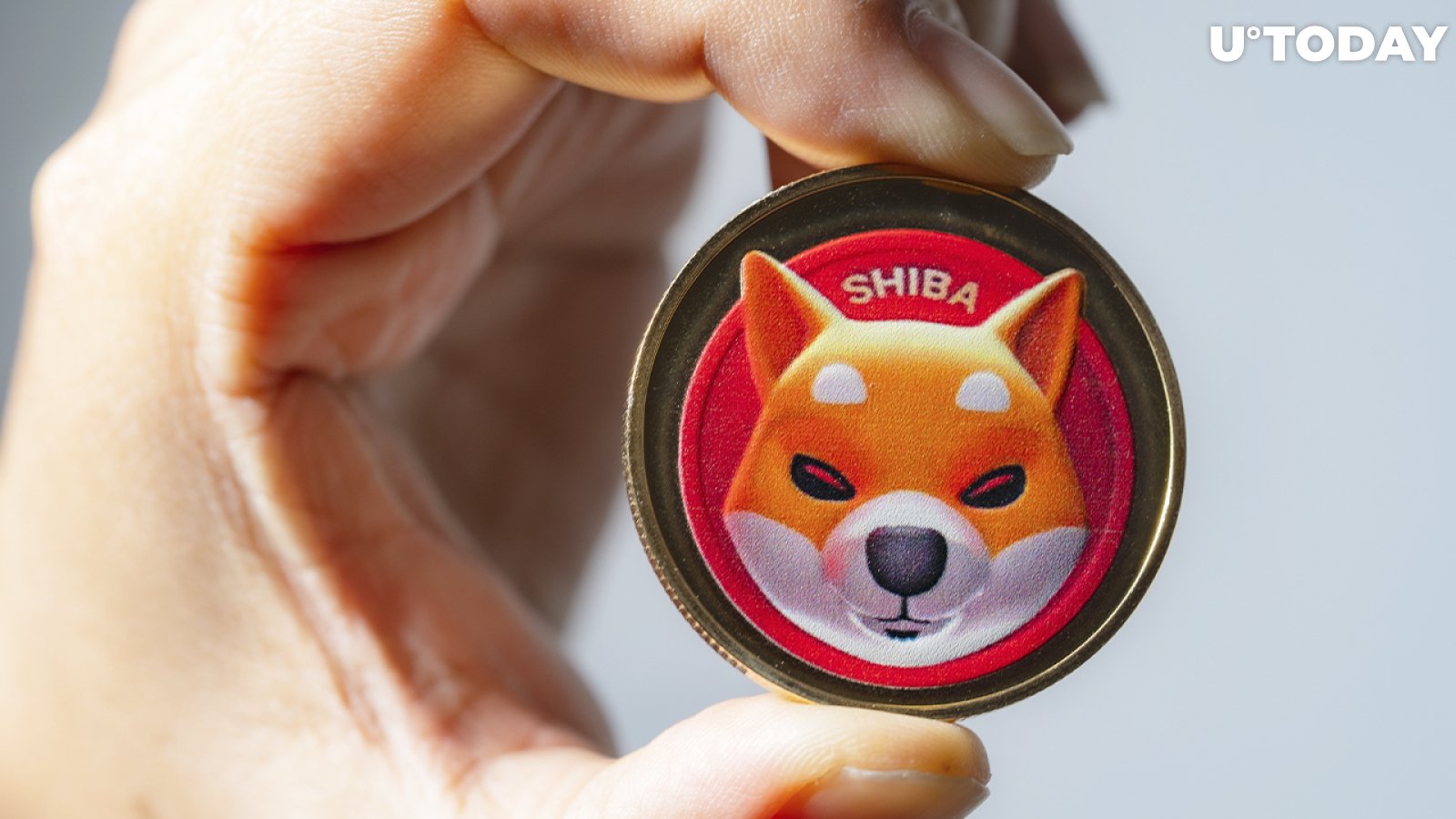 Some SHIB Starts Going Back into Circulation, Here's Why