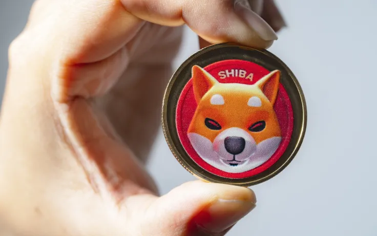 Some SHIB Starts Going Back into Circulation, Here's Why