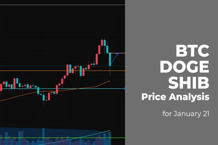 BTC, DOGE and SHIB Price Analysis for January 21