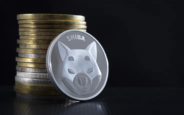 Shiba Inu Holder Count Hits New Highs Amid Price Dip