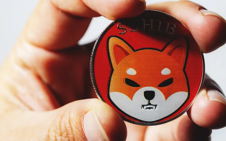 Shiba Inu Overtakes MATIC in Market Cap as Number of SHIB Holders Keeps Growing