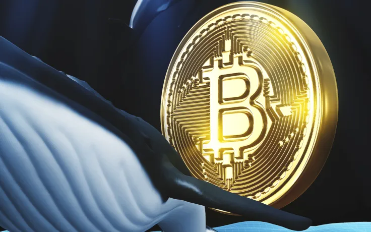 Bitcoin Whales Are Actively Selling Their Holdings: On-Chain Data