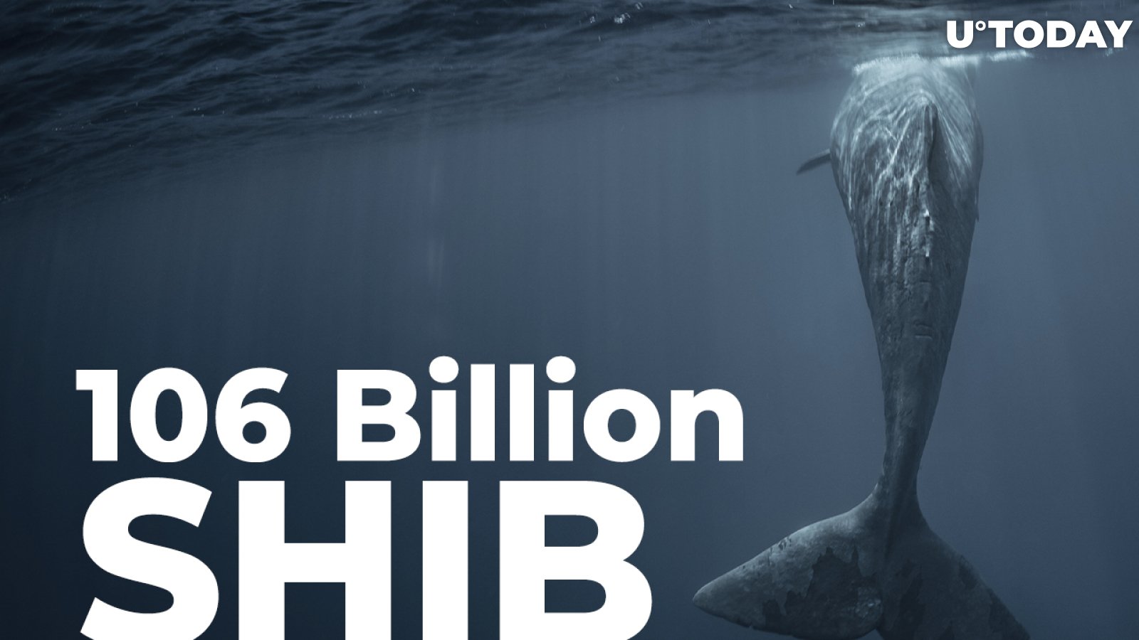 Two ETH Whales Buy 106 Billion SHIB Amid Token Price Decline