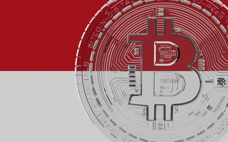 Indonesia Bans Crypto Operations for Financial Firms