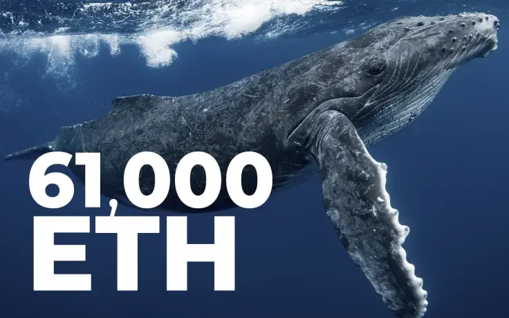 Whales Move 61,000 ETH Within 2 Hours While Coin Is Deep in Red