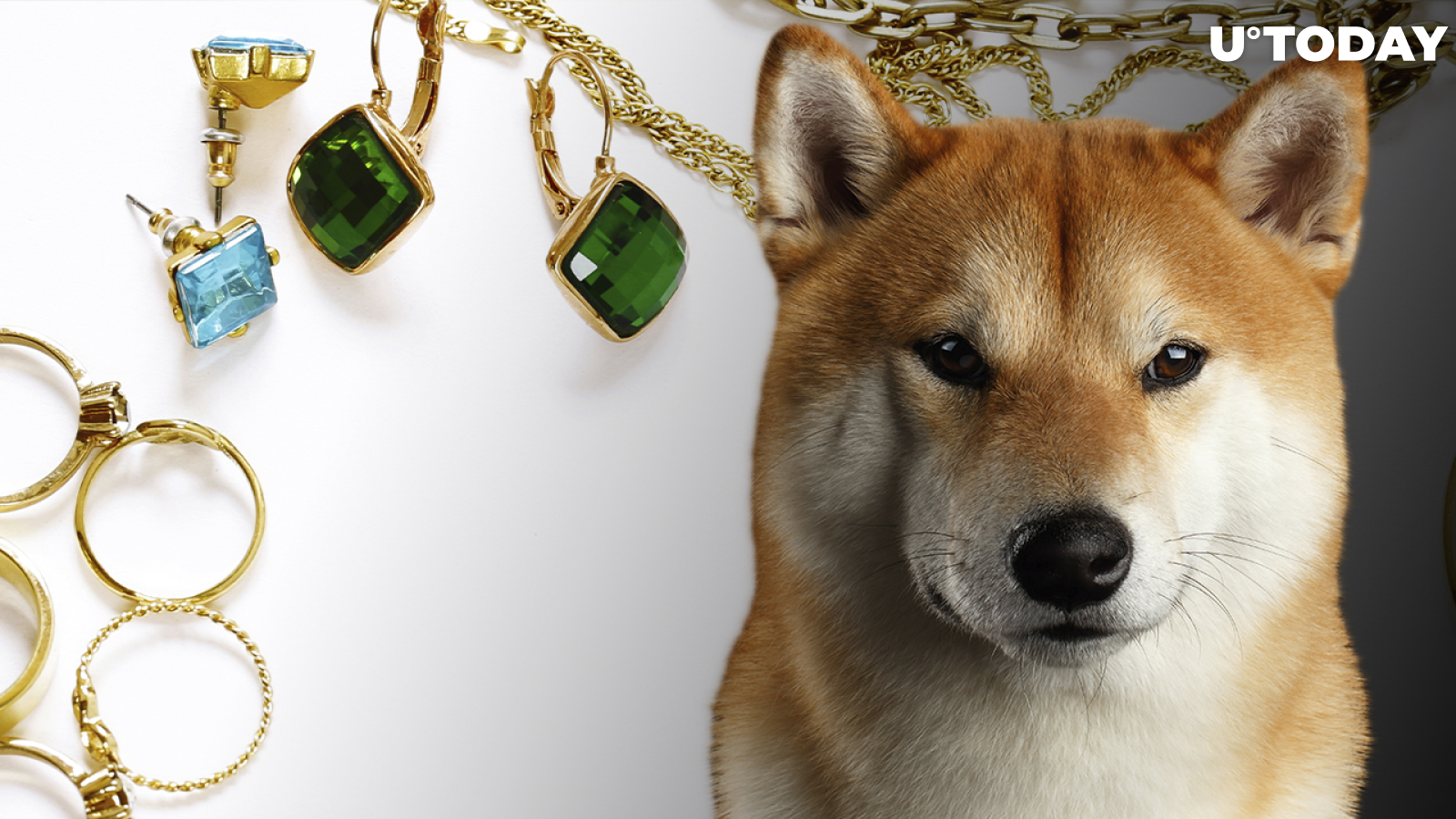 Shiba Inu Now Accepted by New York-Based Jewelry Collection Through BitPay: Details