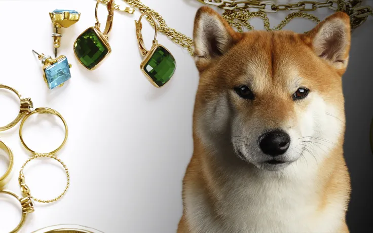 Shiba Inu Now Accepted by New York-Based Jewelry Collection Through BitPay: Details
