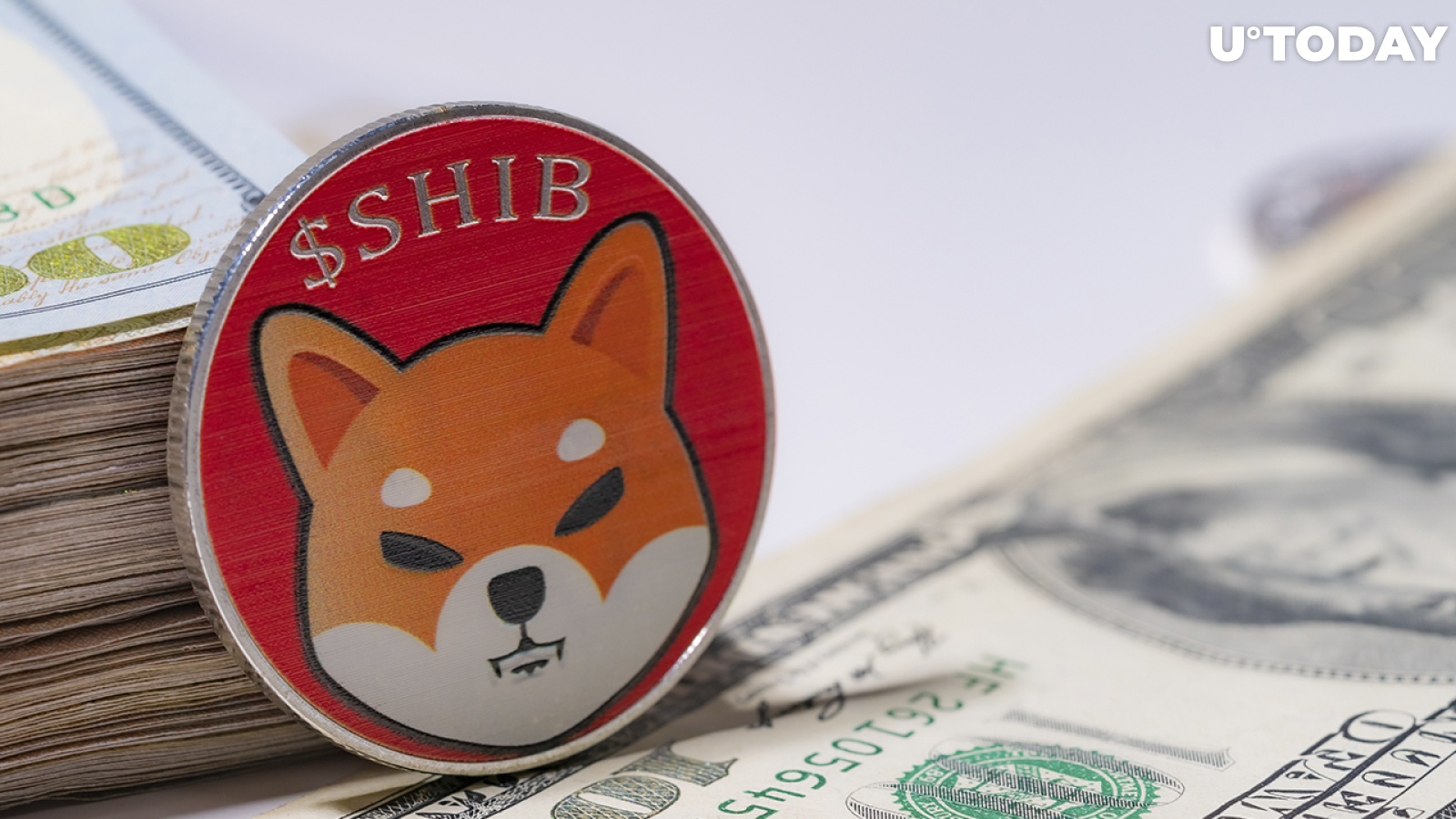 Almost $1.5 Billion Worth of SHIB Held by Ethereum Whales: Details