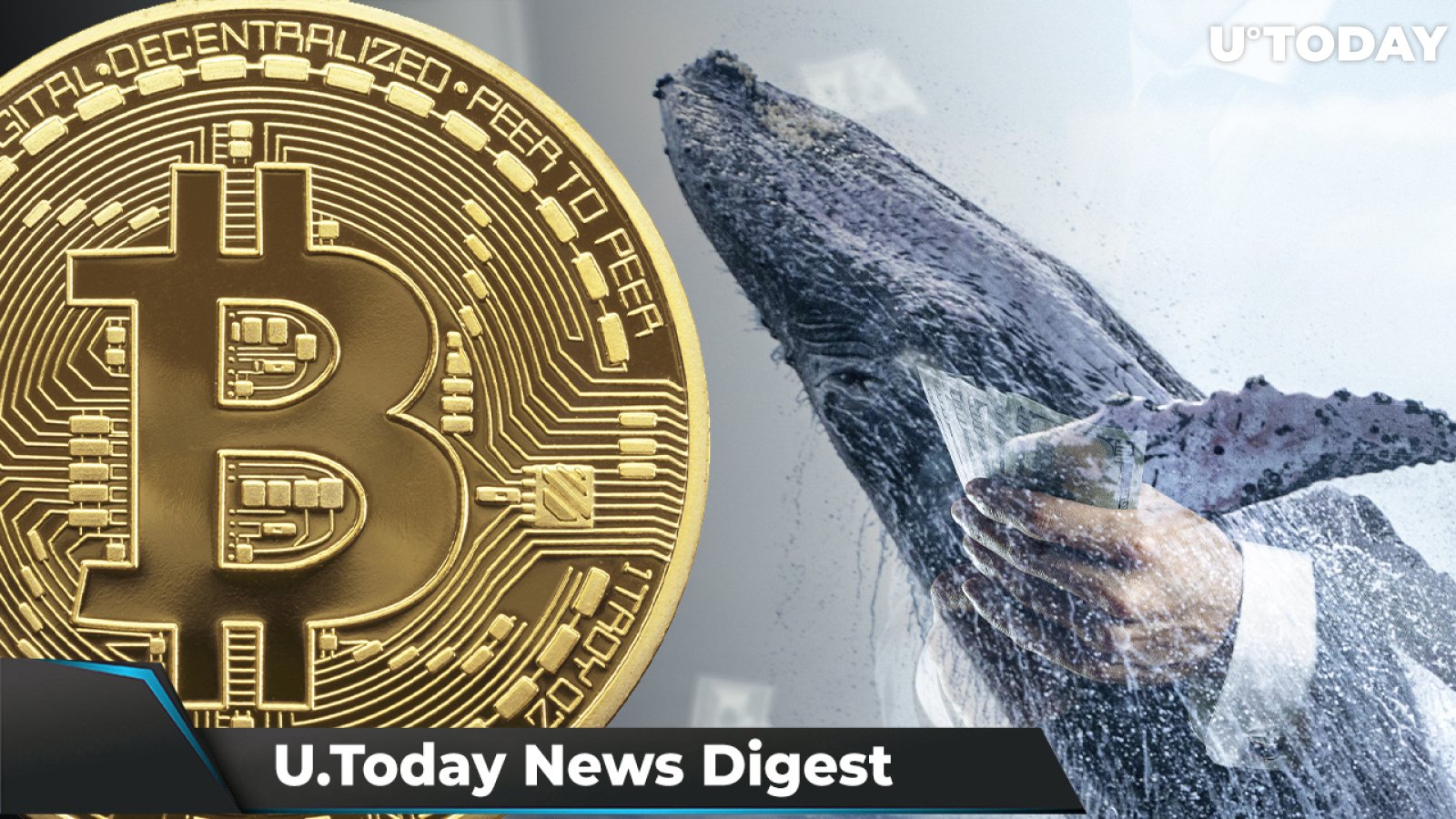 BTC, ETH, SOL Tumble, SHIB Flips FTX by USD Value Among Top ETH Whales, $100 Million Worth of Crypto Liquidated: Crypto News Digest by U.Today