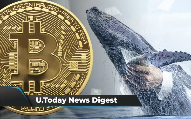 BTC, ETH, SOL Tumble, SHIB Flips FTX by USD Value Among Top ETH Whales, $100 Million Worth of Crypto Liquidated: Crypto News Digest by U.Today