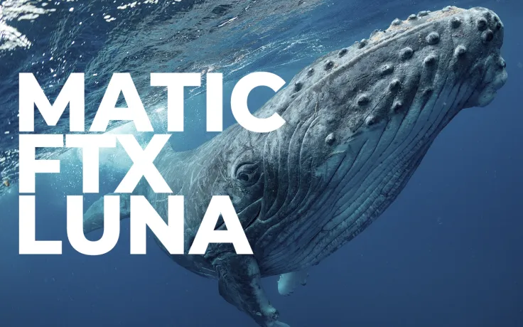 More MATIC, FTX Token, LUNA Bought by Whales as They Keep Betting on These Coins