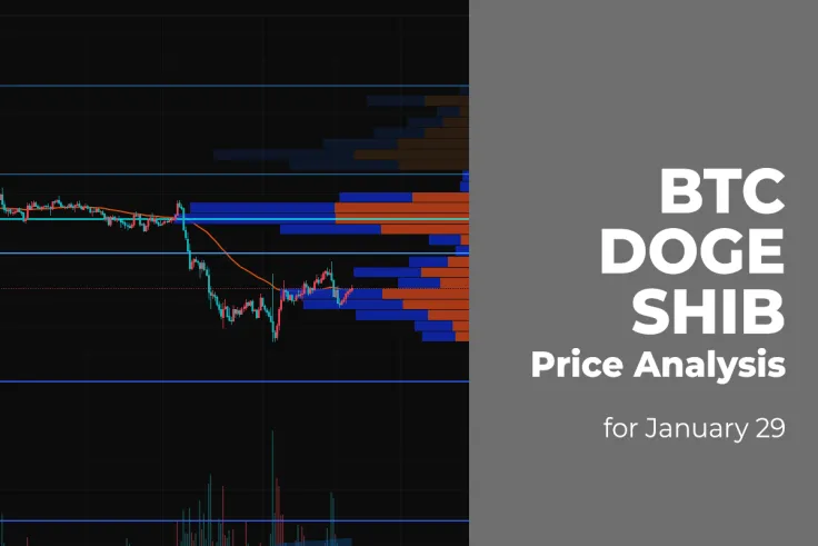 BTC, DOGE and SHIB Price Analysis for January 29