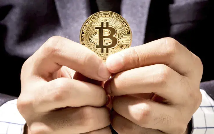5-7 Year Bitcoin Holder Number Reaches New High: Details