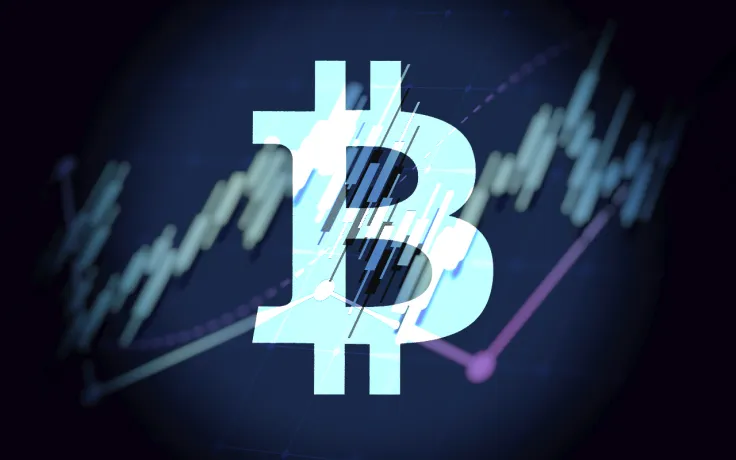 Gigantic Bitcoin Price Increase Only a Matter of Time: El Salvador's President