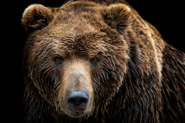 $353 Million Worth of Crypto Liquidated in Hours as Bitcoin Plunges to $38,000
