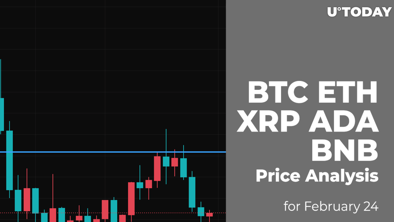 BTC, ETH, XRP, ADA and BNB Price Analysis for February 24