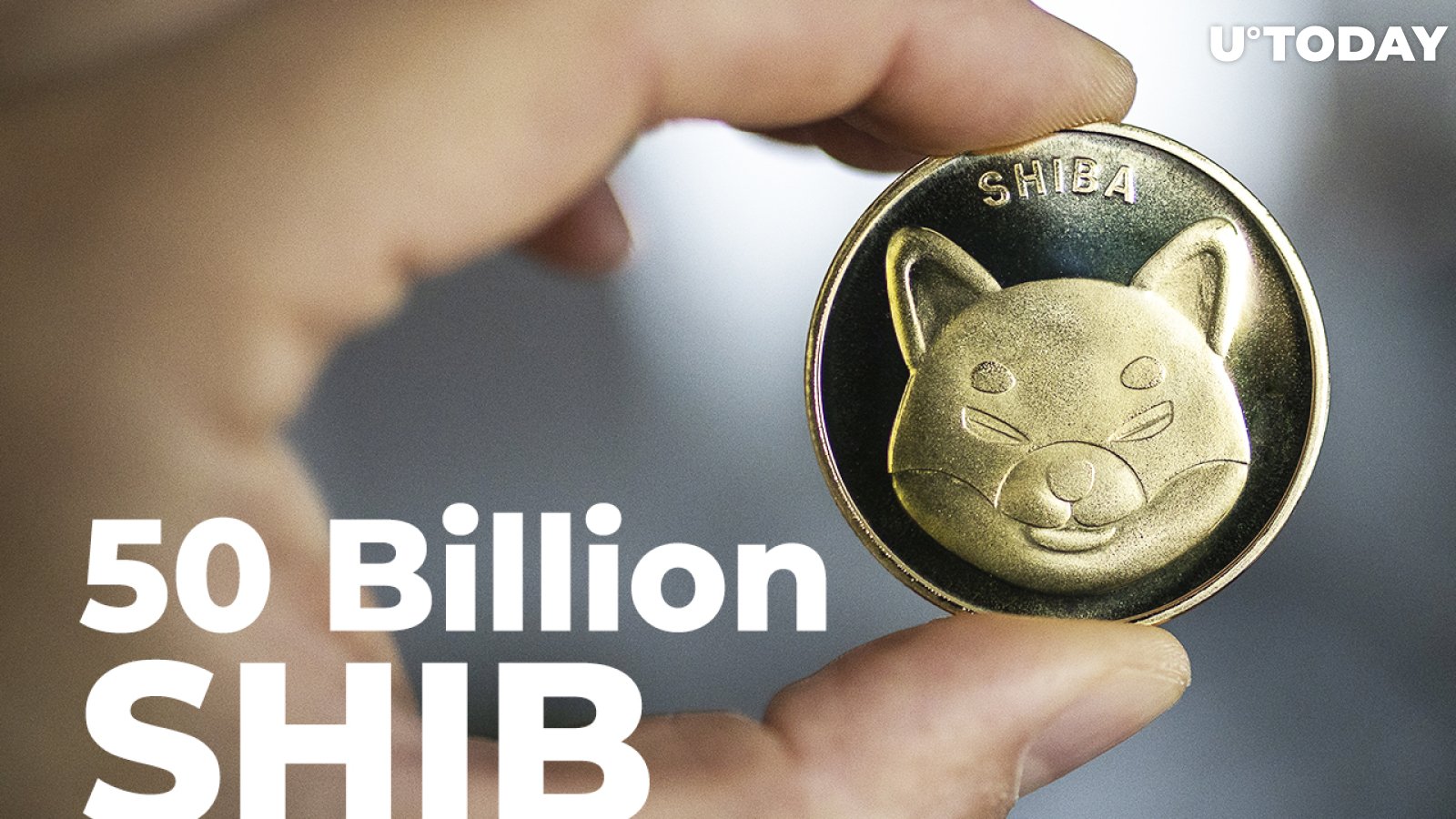 50 Billion SHIB Grabbed by Top Ethereum Whale: Details