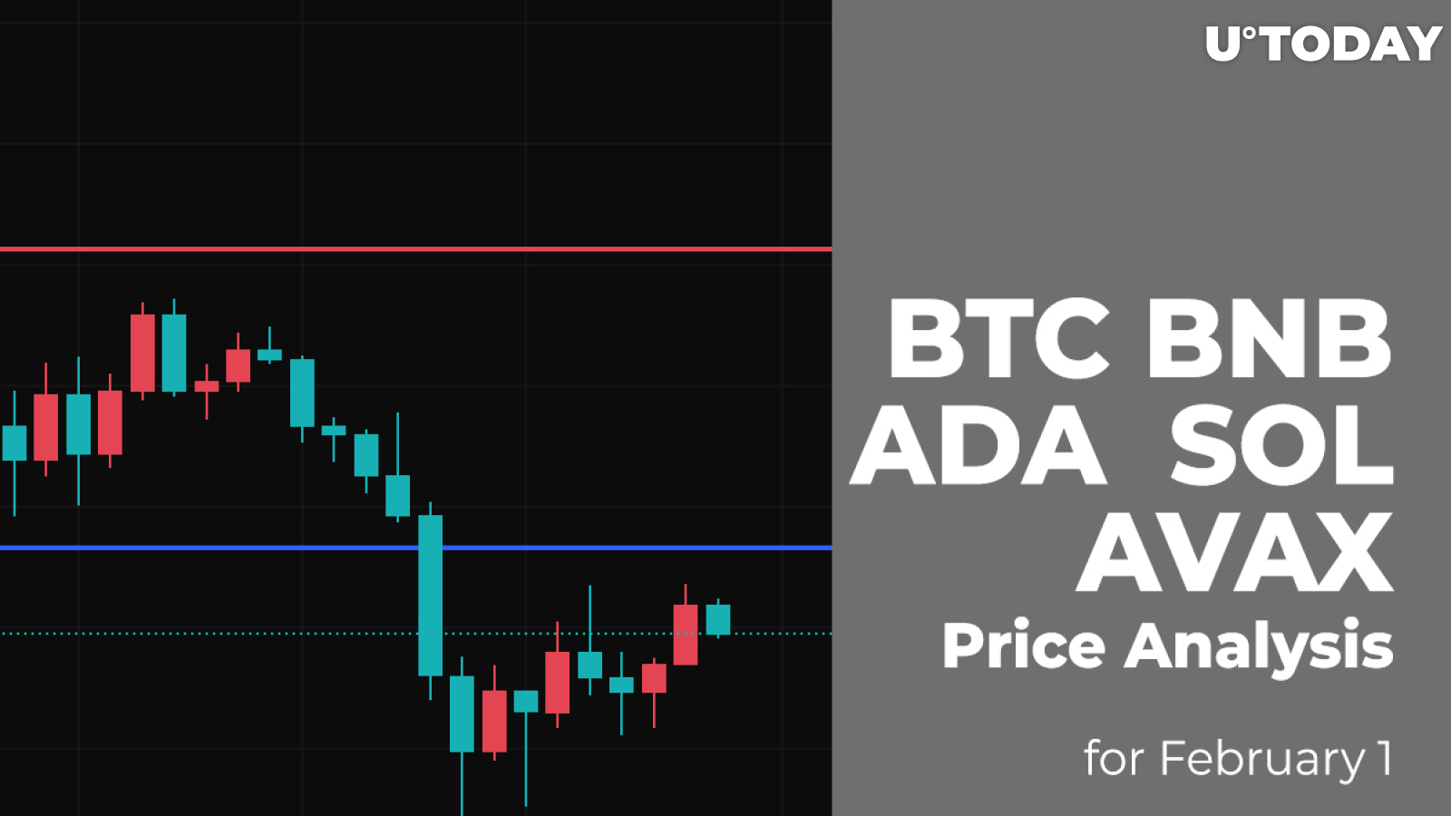 BTC, BNB, ADA, SOL and AVAX Price Analysis for February 1