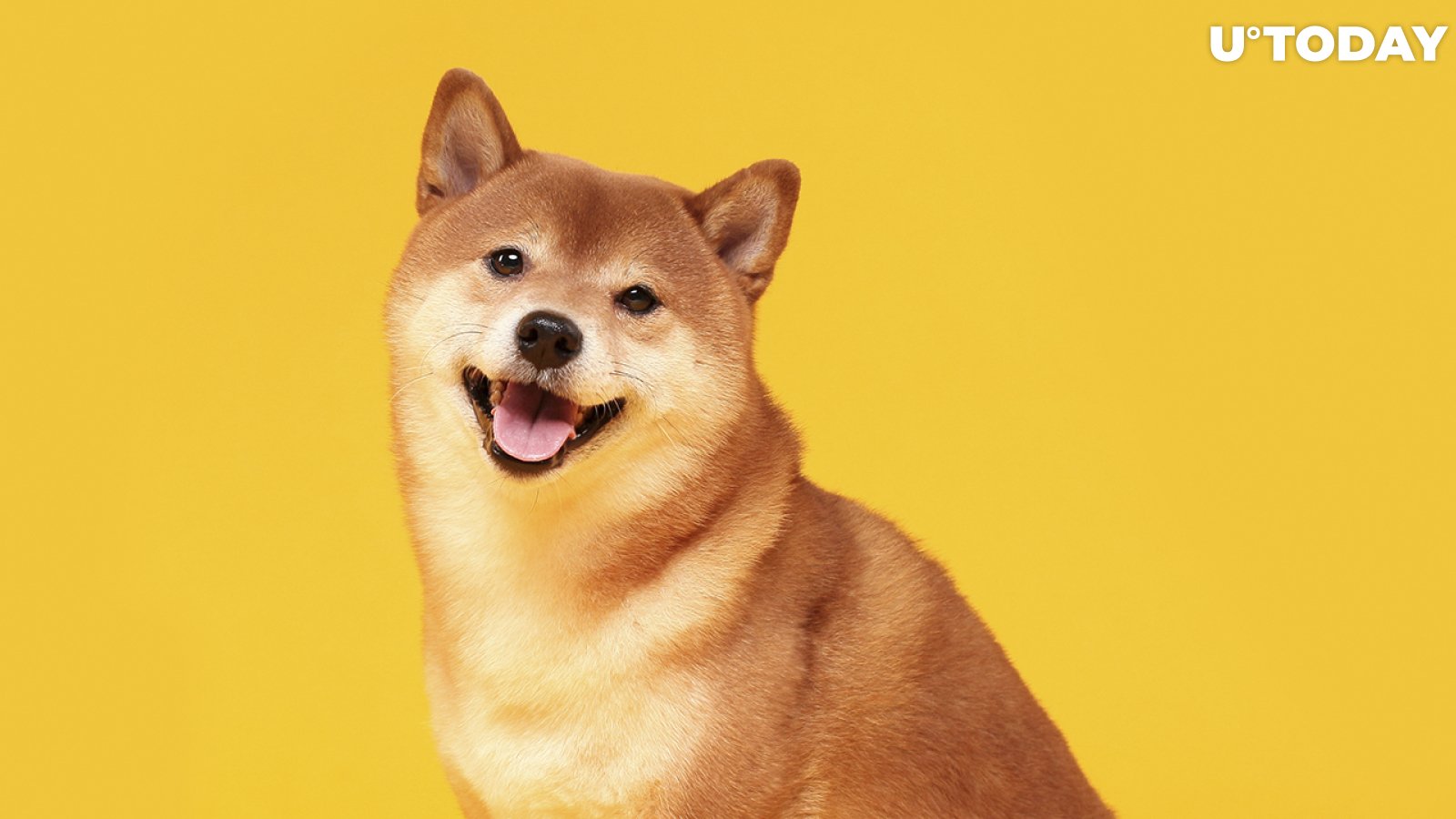 Shiba Inu to Release Additional Projects That Will Burn SHIB: Details