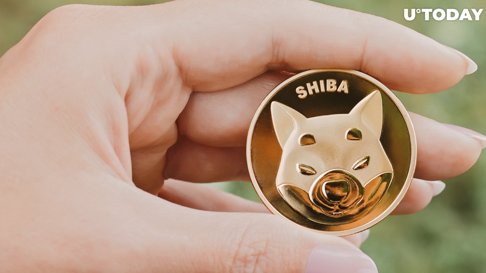 SHIB Whales Increase Value of Holdings by 27% as Shiba Inu Clinches Most Traded Token