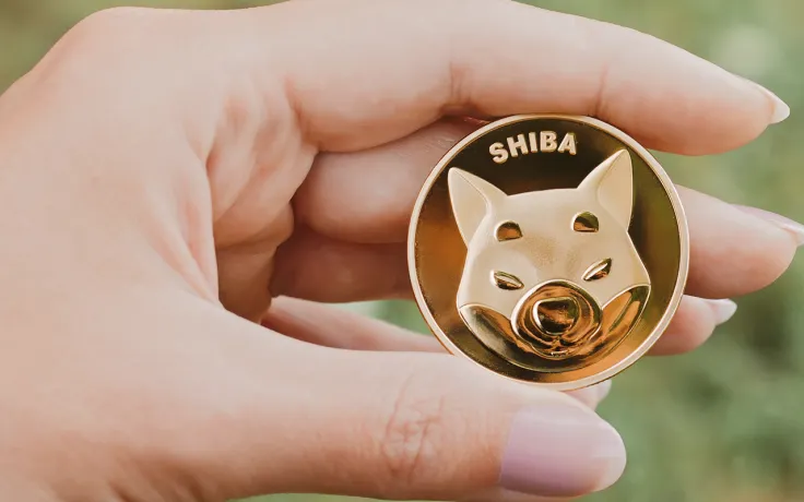 SHIB Whales Increase Value of Holdings by 27% as Shiba Inu Clinches Most Traded Token