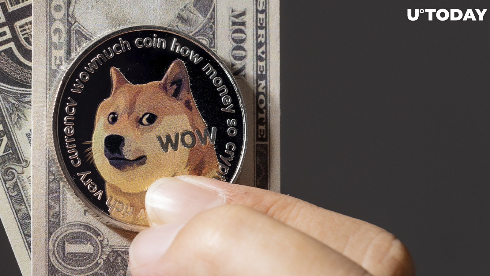 Dogecoin Returns Among Top Purchased Tokens by Whales; Here's How Much They Own