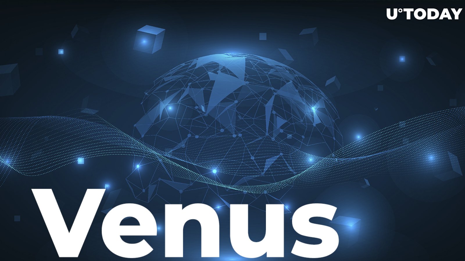 Venus To Launch Grant Programs For Incentivizing Ecosystem Development 