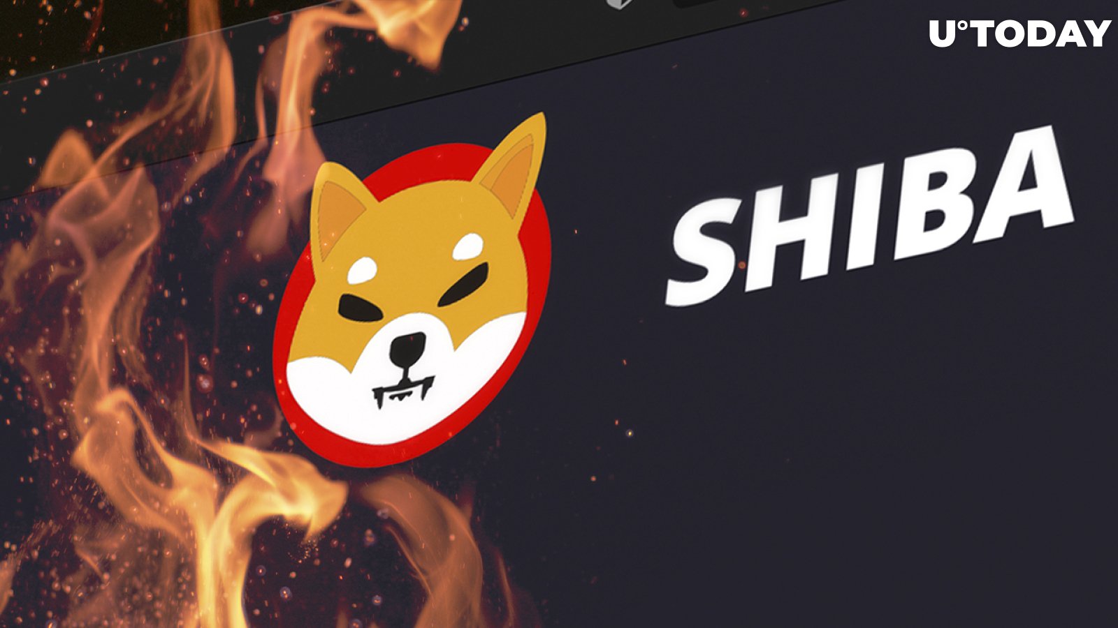 144.2 Million SHIB Burned, While SHIB Becomes Token with Largest USD Value for Whales