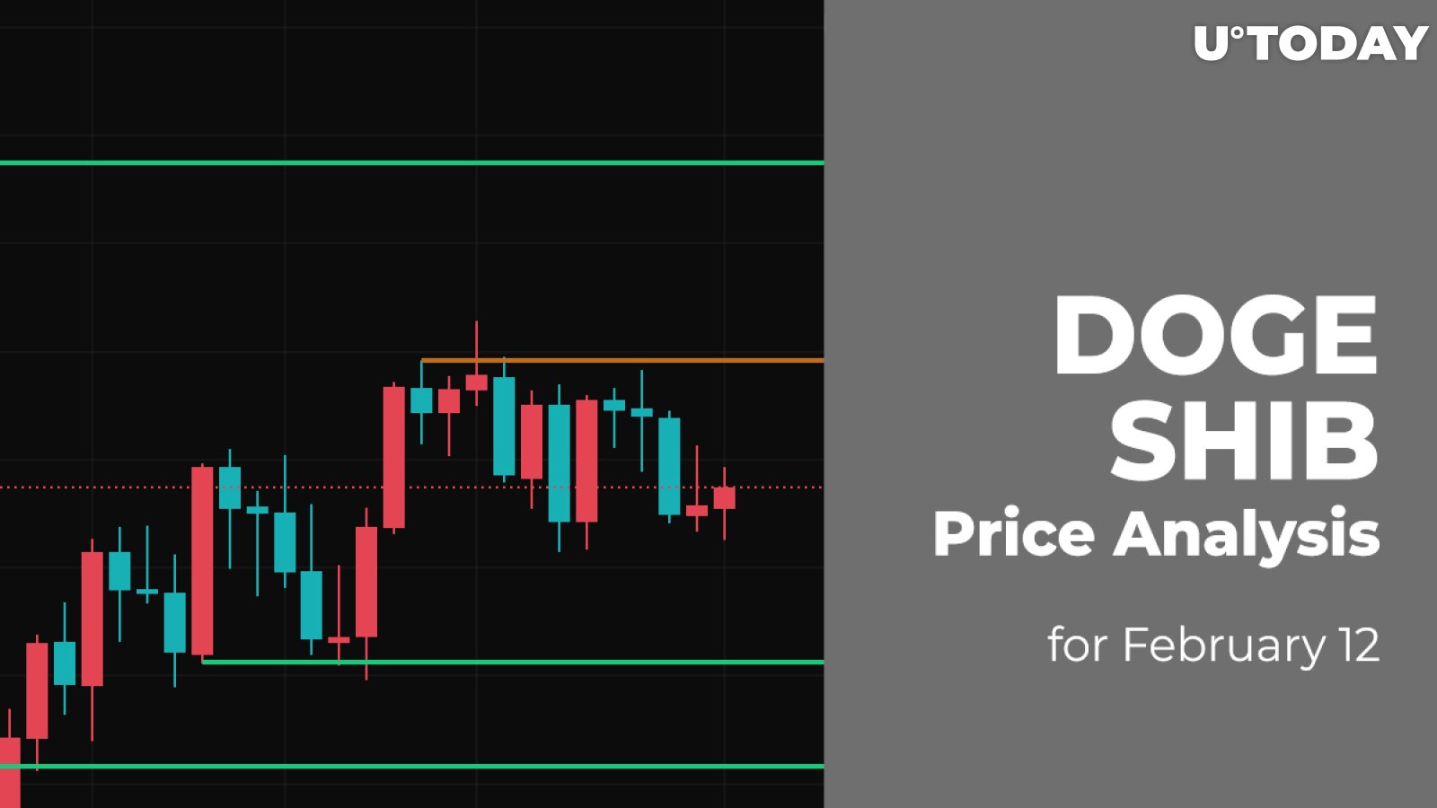 DOGE and SHIB Price Analysis for February 12