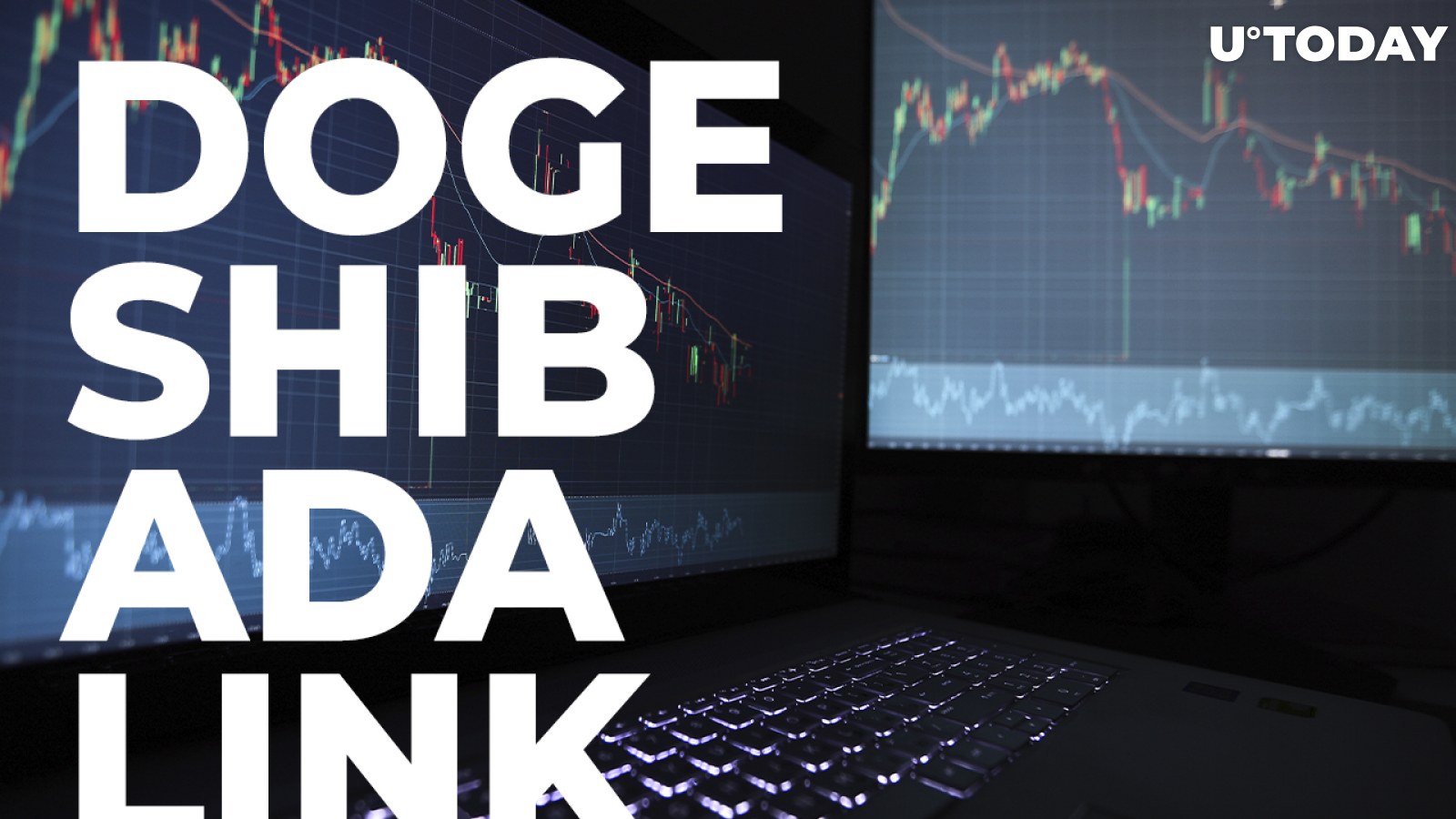  DOGE, SHIB, ADA and LINK are Among Top 11 Coins Held by Largest BSC Whales: Details