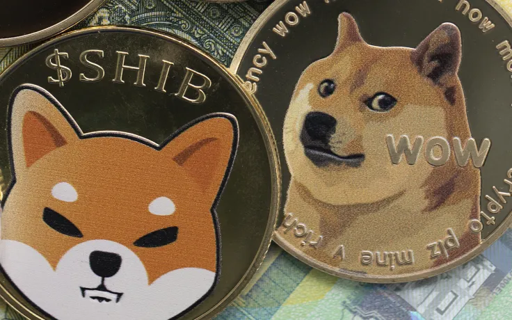 Shiba Inu and Dogecoin Facing Strong Price Increase as Crypto Market Recovers
