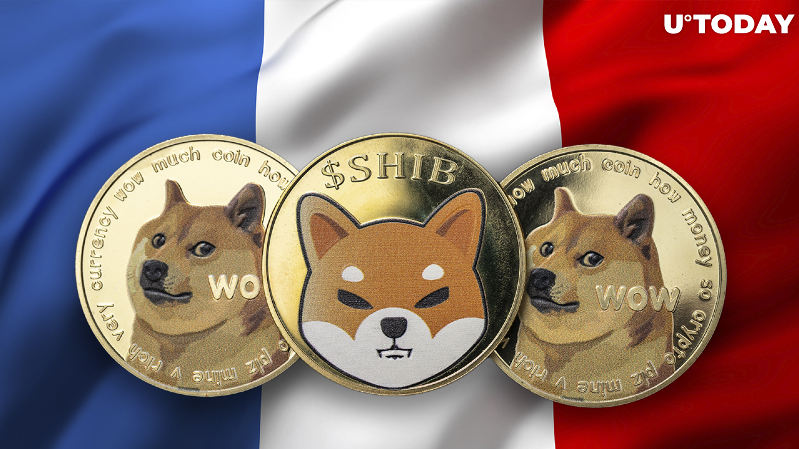 Shiba Inu and Dogecoin Among Most Desirable Cryptocurrencies in France: Report