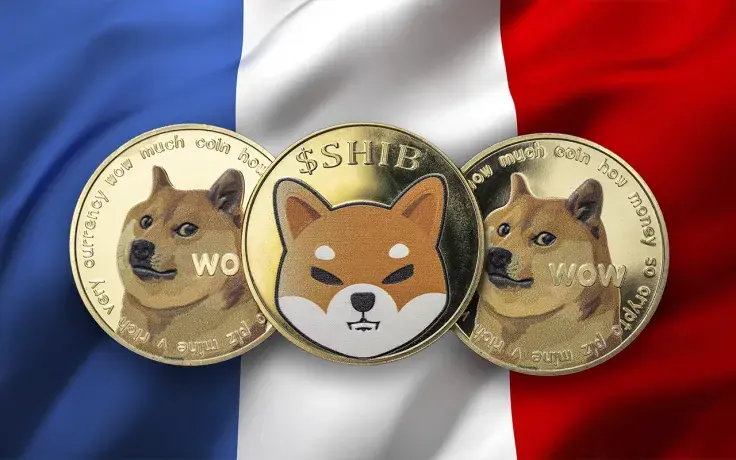 Shiba Inu and Dogecoin Among Most Desirable Cryptocurrencies in France: Report