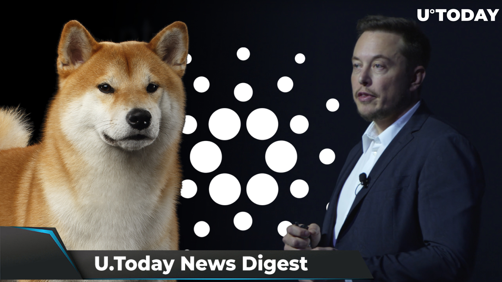 SHIB Net Flow Spikes 850%, Elon Musk Hints at Starlink Accepting DOGE, Cardano's SundaeSwap Sets New Milestone: Crypto News Digest by U.Today