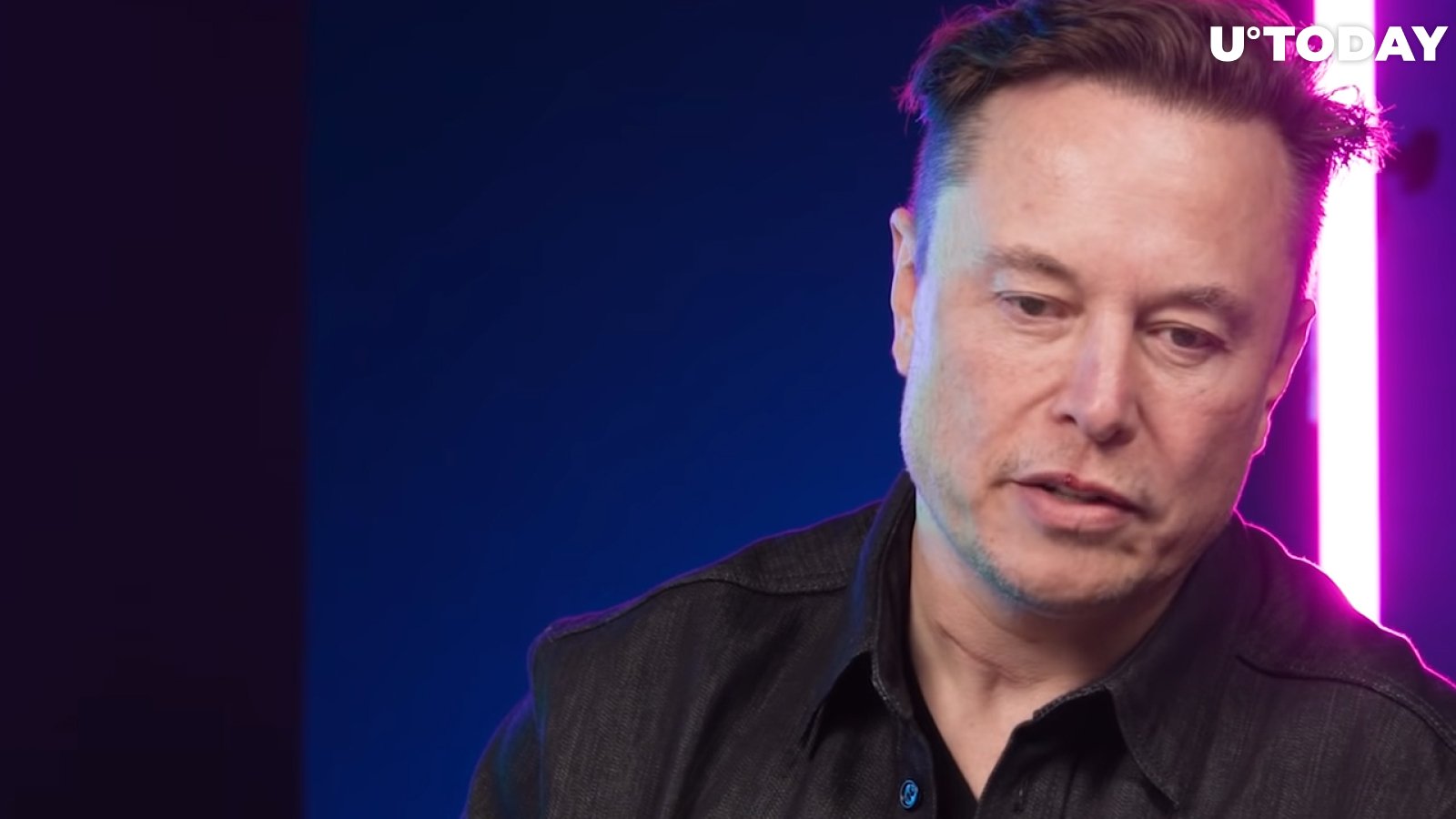 Elon Musk Complains About Crypto Scammers on Twitter (Again)