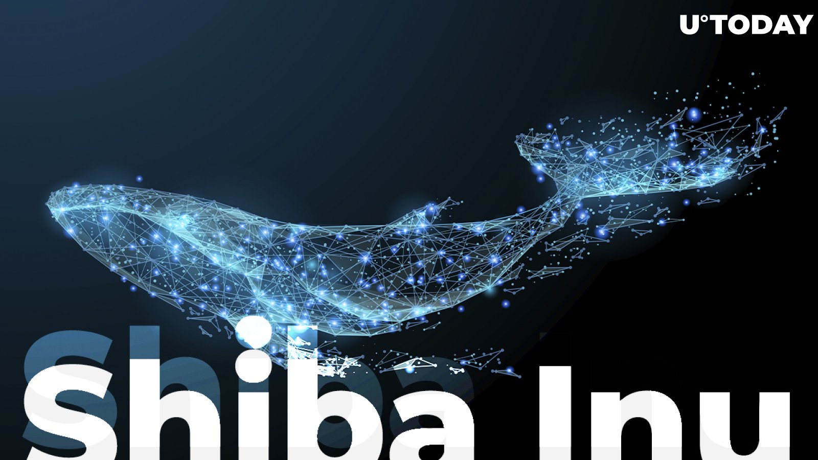 Shiba Inu Whale with 2 Trillion Tokens Diversifies Portfolio to Other Altcoins: Here They Are