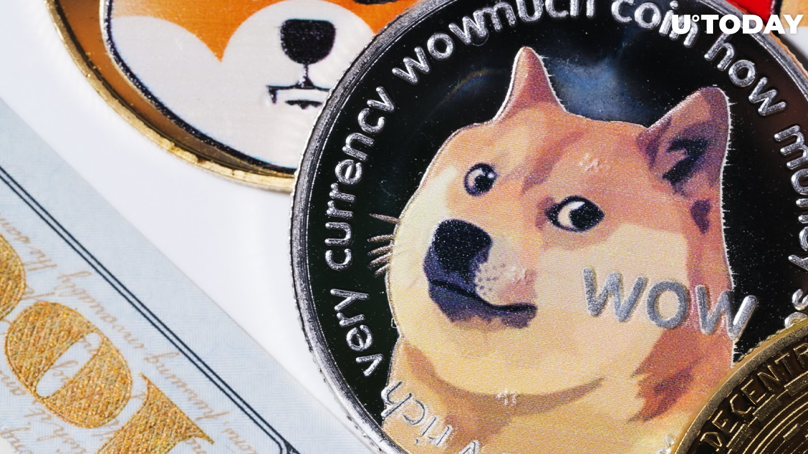 Top Dogecoin Dev Ross Nicoll Says He's Stepping Away from Dogecoin, Here's Why